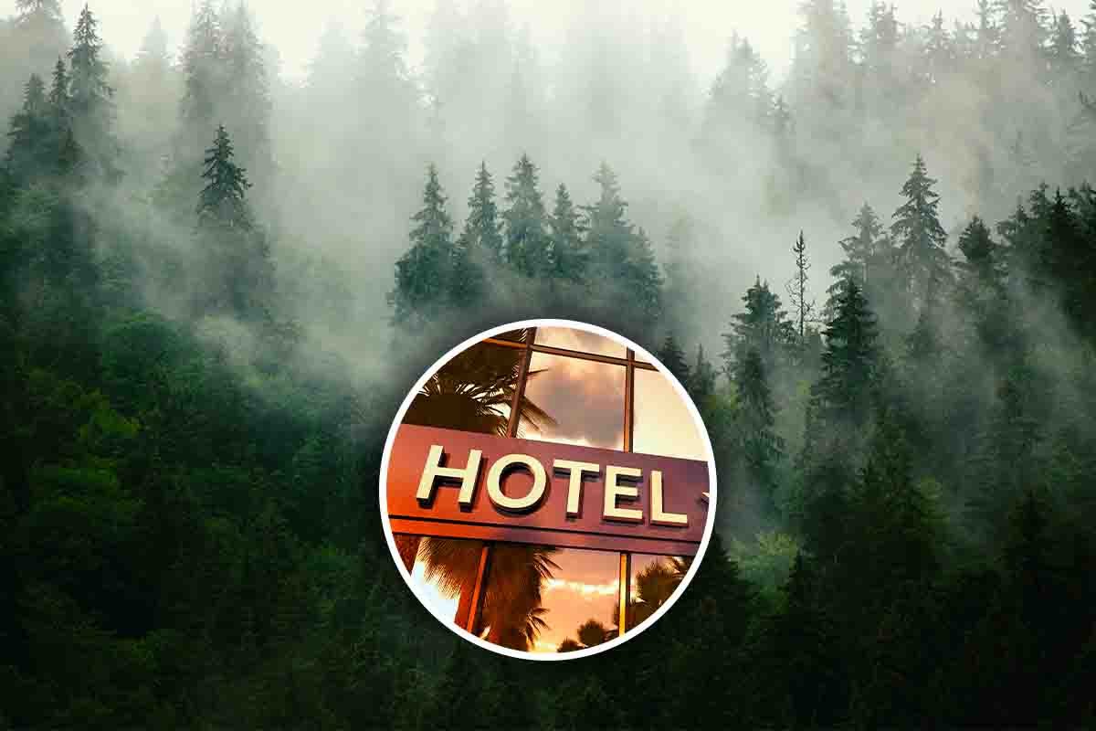 Hotel immersi nel bosco