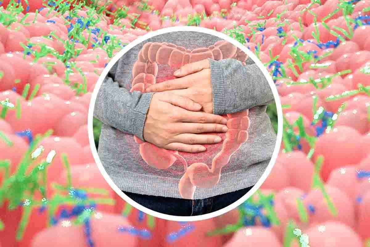 Errore comune favorisce il contagio dell'influenza intestinale