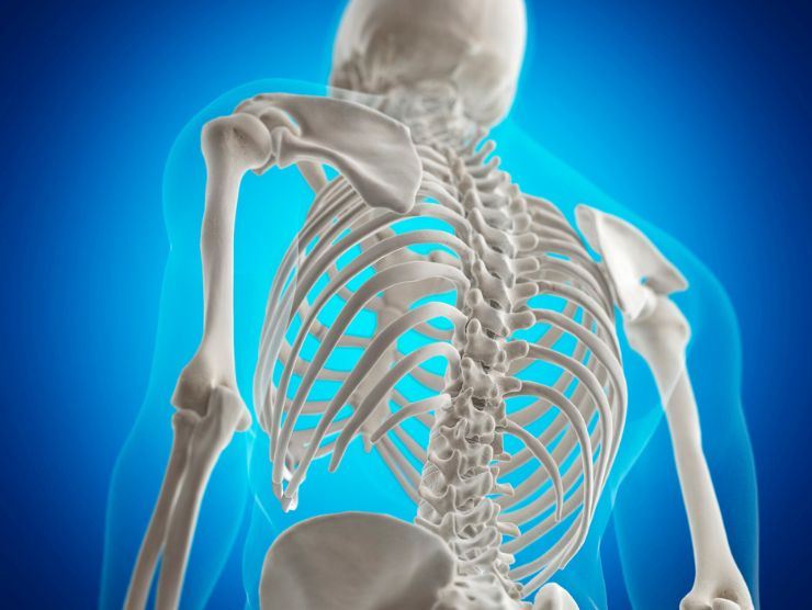 I consigli degli esperti per mantenere le ossa in salute