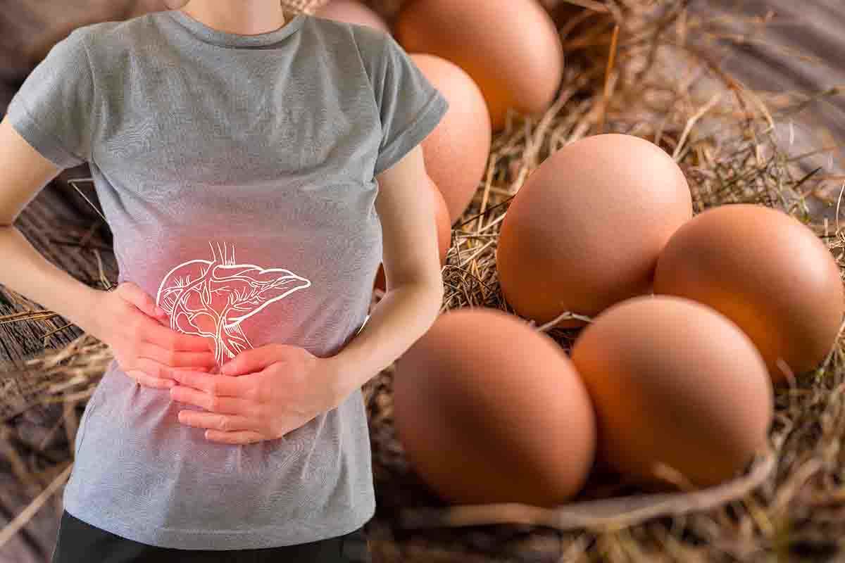 le uova fanno male al fegato importantissima scoperta