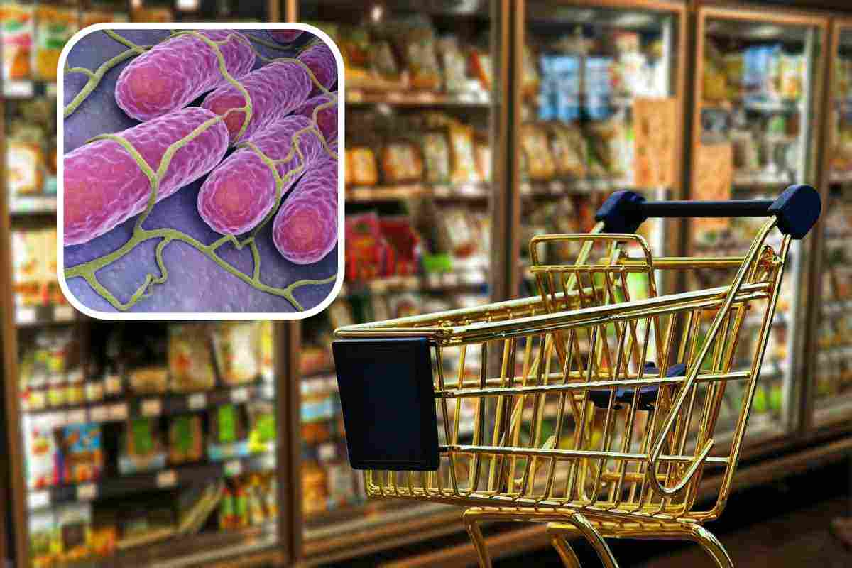 salmonella e batteri nei prodotti del discount