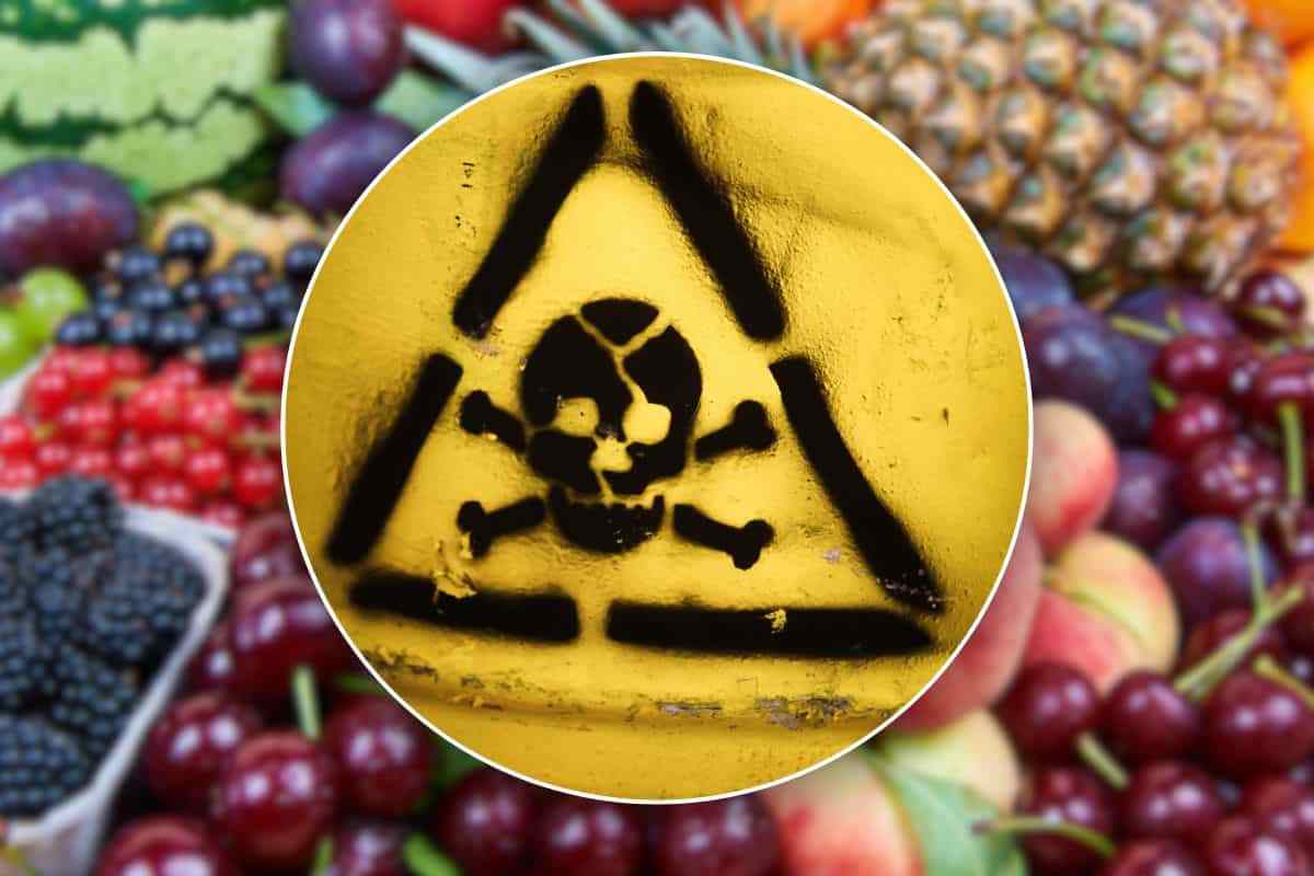 frutta contaminata rischi
