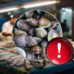 Nuova allerta alimentare: vongole non idonee al consumo